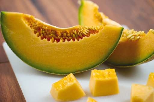 Cantaloupe