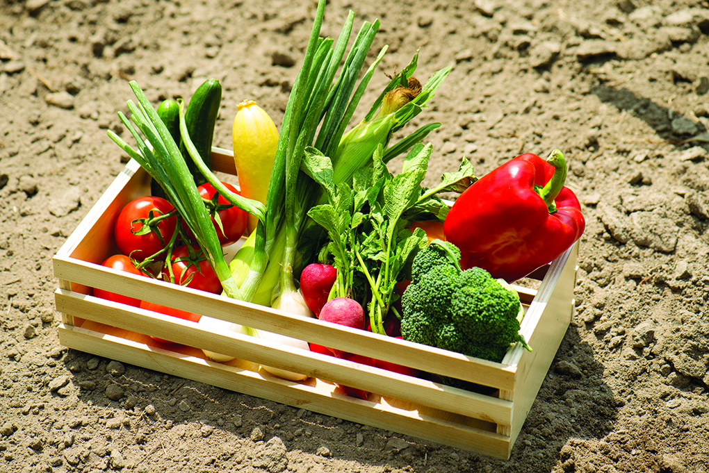 Improve your Home & Diet with a Vegetable Garden