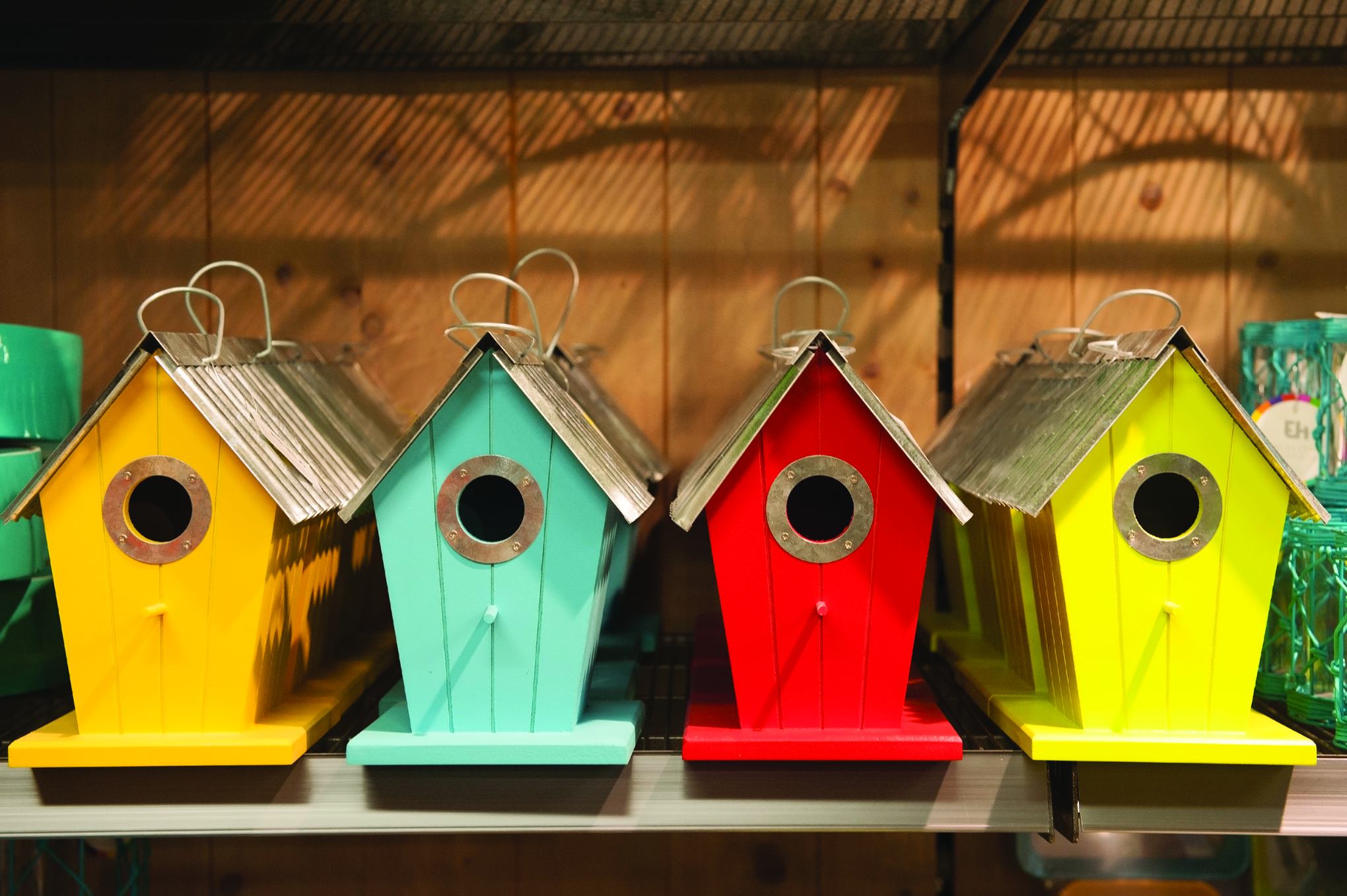 Maintain Bird Feeders & Bird Baths for Avian Health