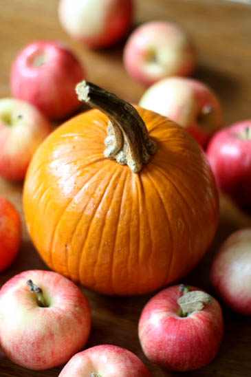 How to Pick the Best Apples & Pumpkins!