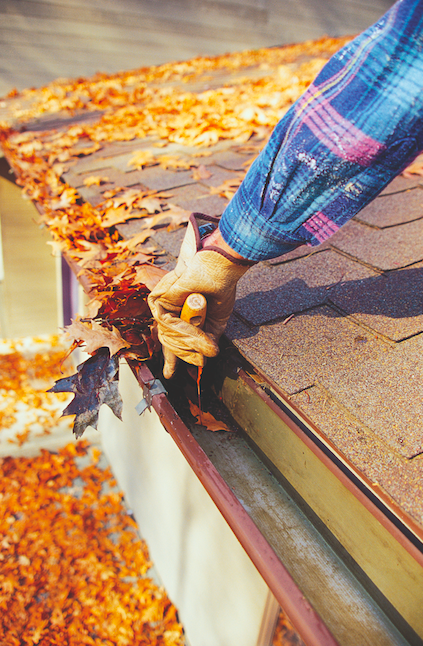 The Importance of Clean Gutters