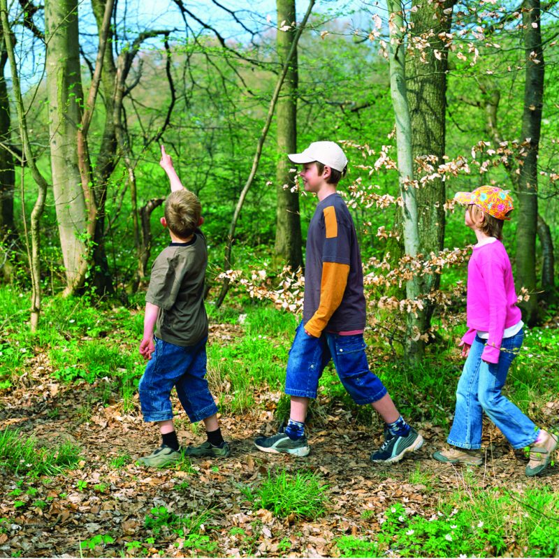 Be Aware Of Ticks When Enjoying The Outdoors
