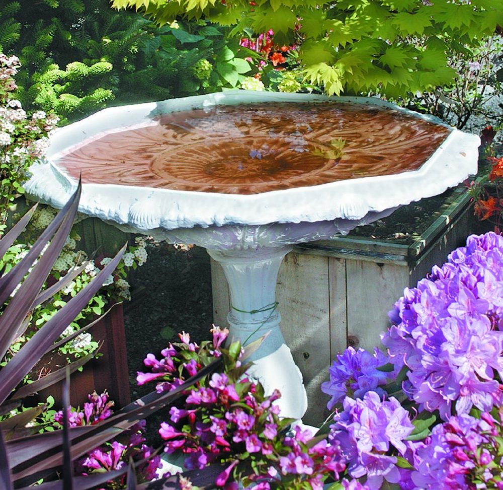 A Guide to Buying and Setting Up a Bird Bath