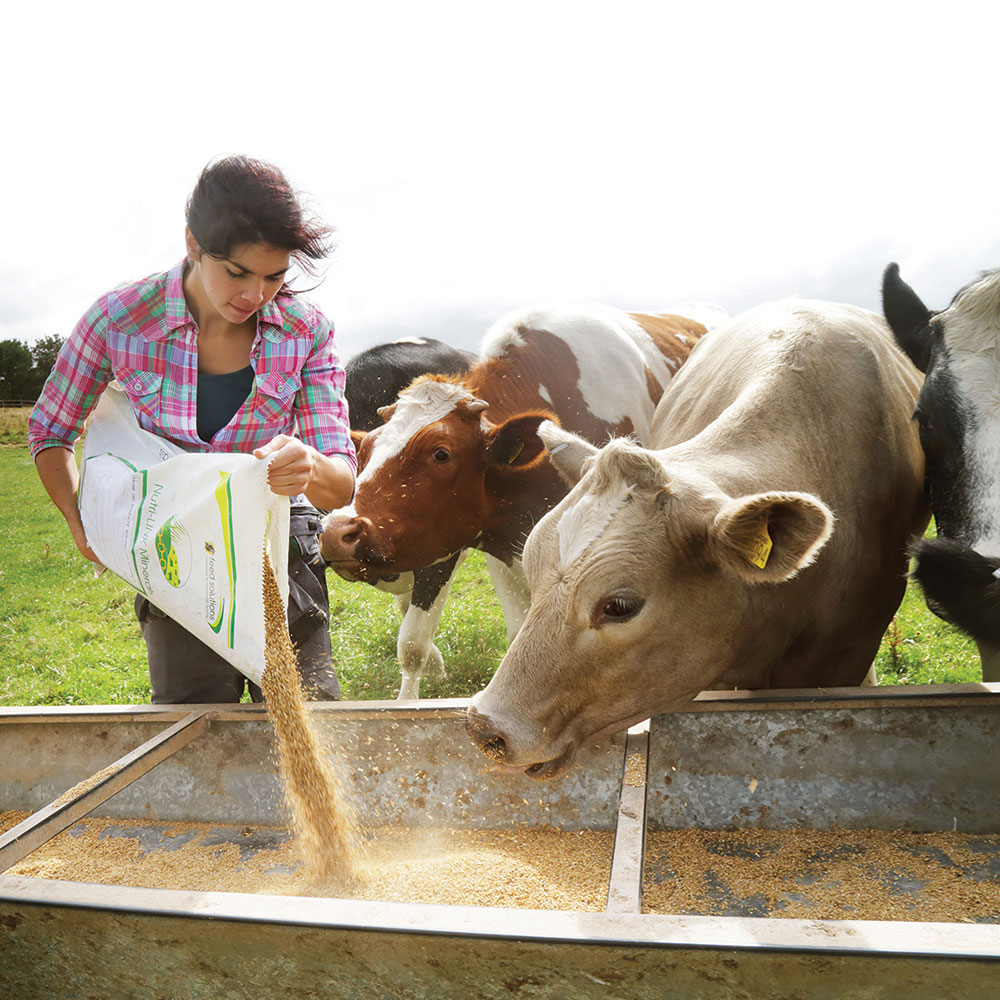 Advancements in Livestock Technology