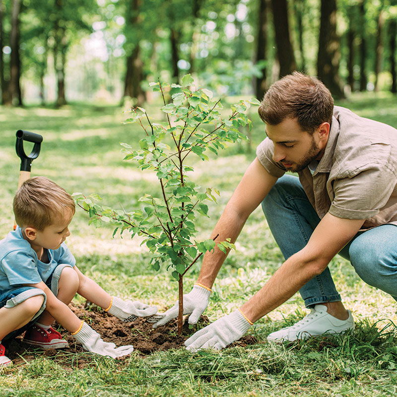 Fun Ways to Celebrate the Arrival of Spring