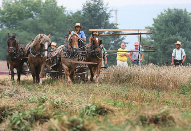 Rural Life Festival