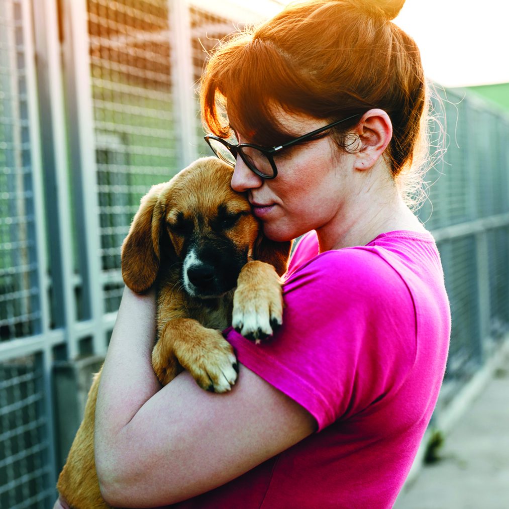 Adoption Gives Dogs A New 'Leash' On Life