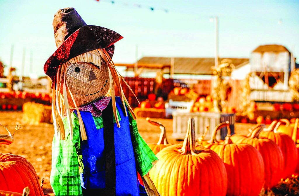 8 Sights To See At Fall Harvest Festivals