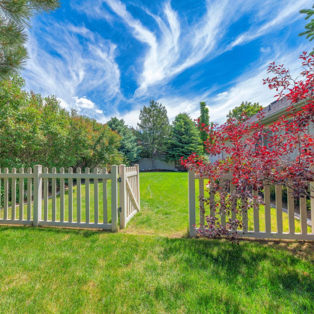 How to create more privacy on your property