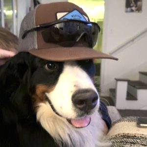 murphy