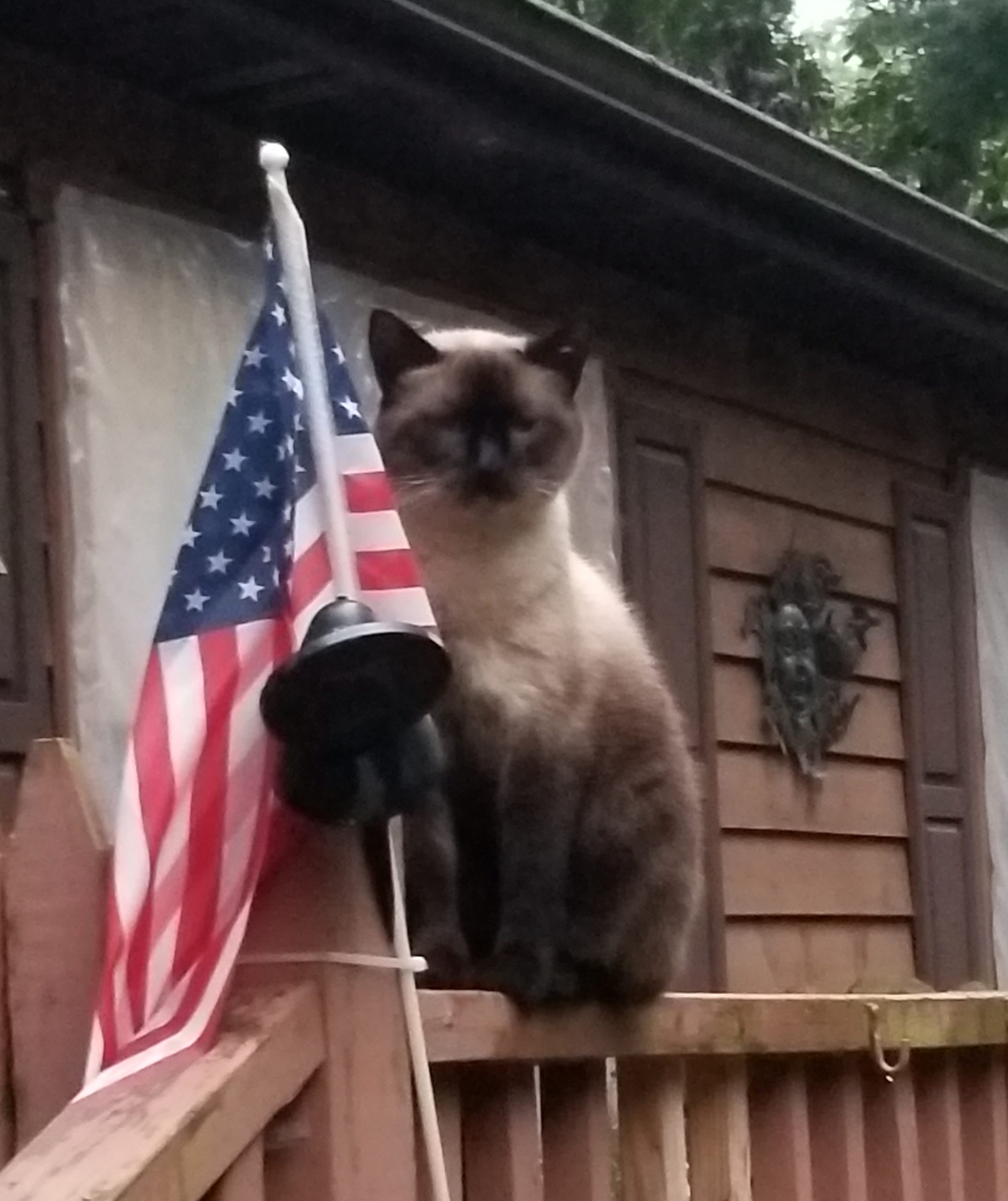 Milo