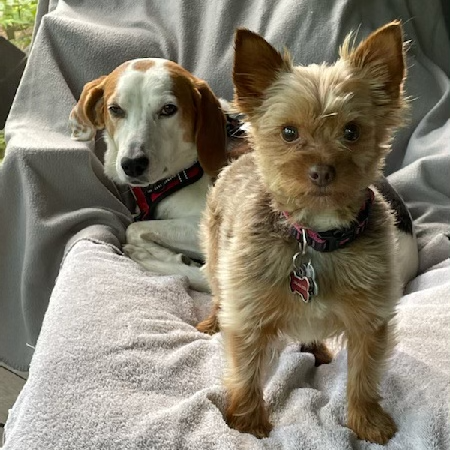 Minnie Moe and Mr. Henry